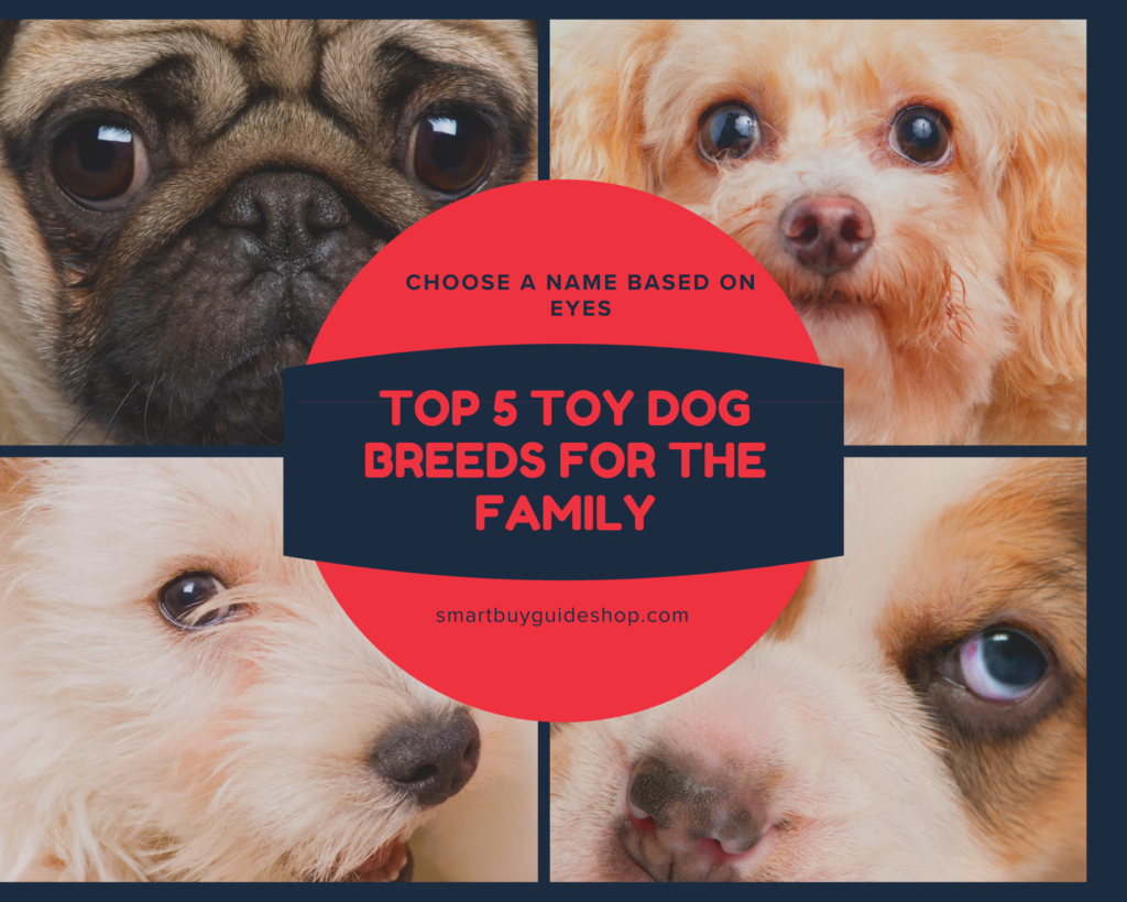 English Breeds Pet Photo Collage