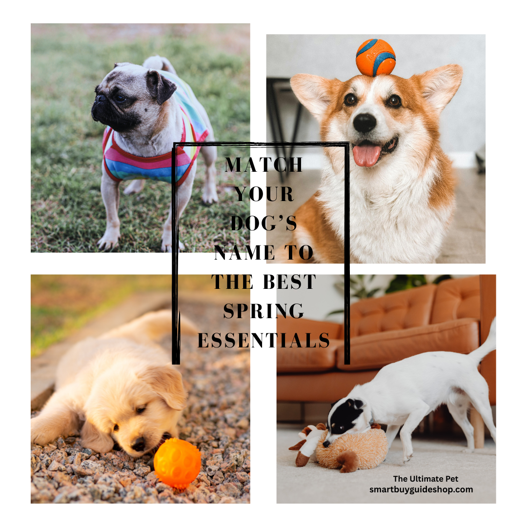 A collage featuring close-up photos of four different toy dog breeds, focusing on their eyes, with a red and dark blue circular overlay that reads "Top 5 Toy Dog Breeds for the Family."