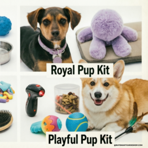 Collage 1 puppy supplies