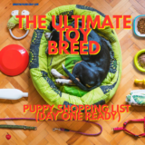 The Ultimate Toy Breed Puppy Shopping List (Day One Ready)